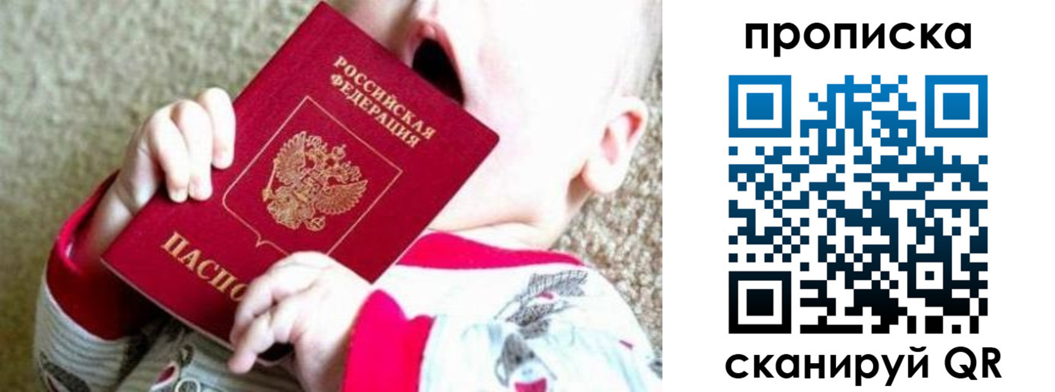 прописка законно в Александрове